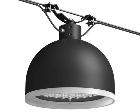 BLACKBIRD Hanging Halo