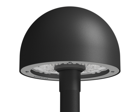 BLACKBIRD Mushroom