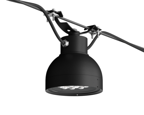 BLACKBIRD MINI Hanging