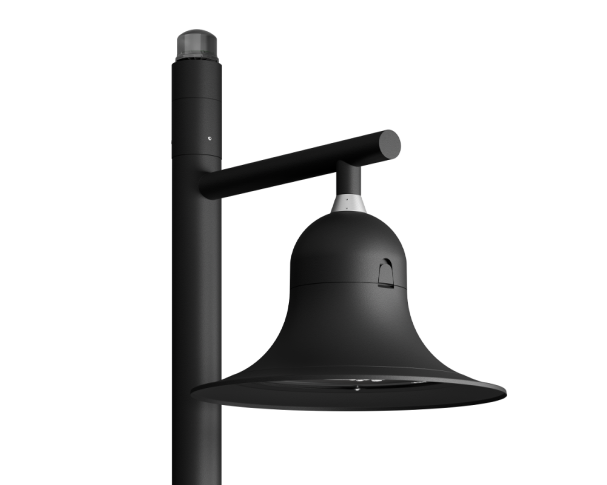 The Botanist's Bellflower Top entry with Skirt