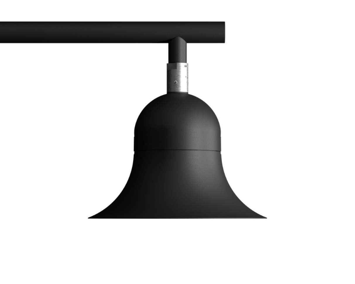 The Botanist's Bellflower