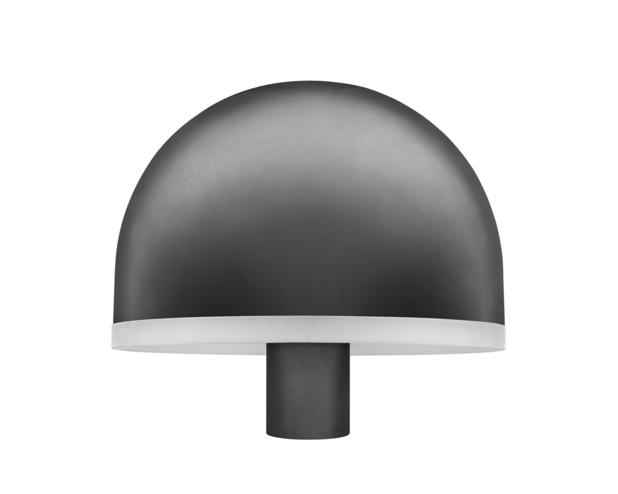 BLACKBIRD Mushroom