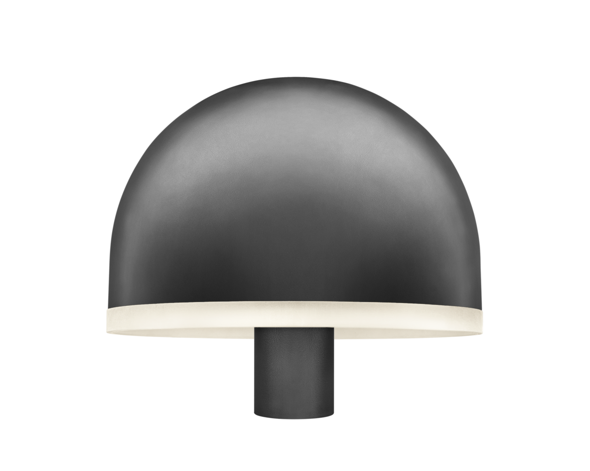 BLACKBIRD Mushroom