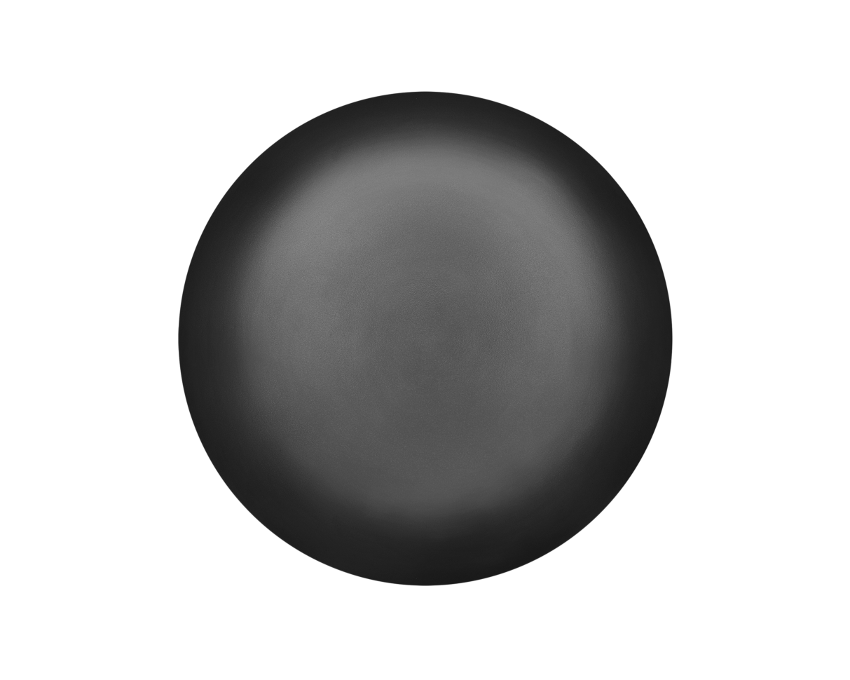 BLACKBIRD Mushroom