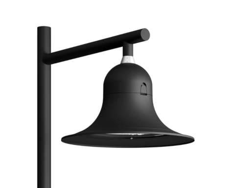 The Botanist's Bellflower Top entry with Skirt