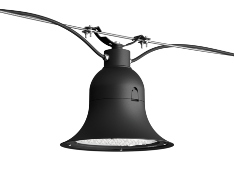 The Botanist's Bellflower Hanging