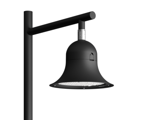 The Botanist's Bellflower