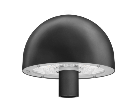 BLACKBIRD Mushroom