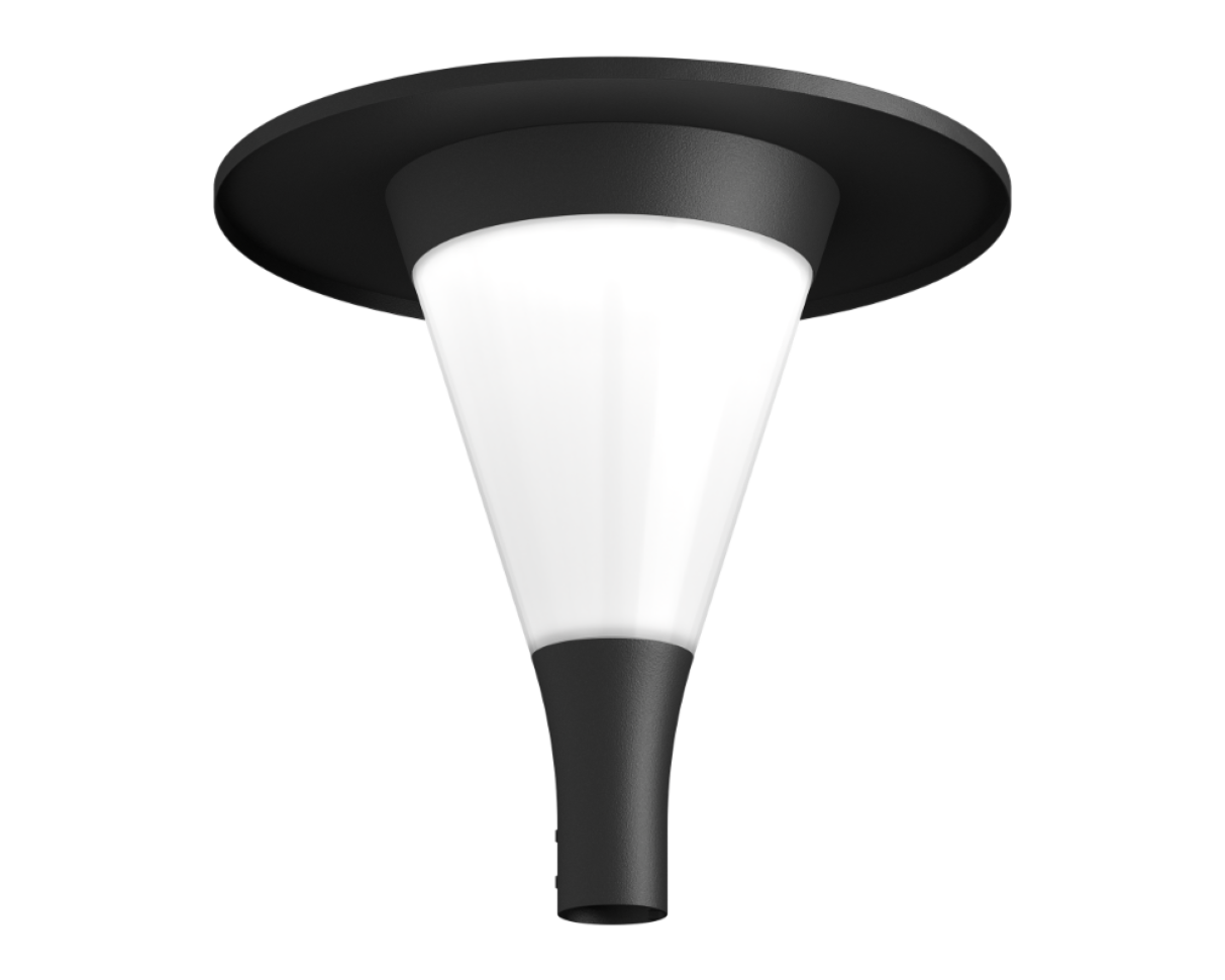 LUSCINIA with Cap