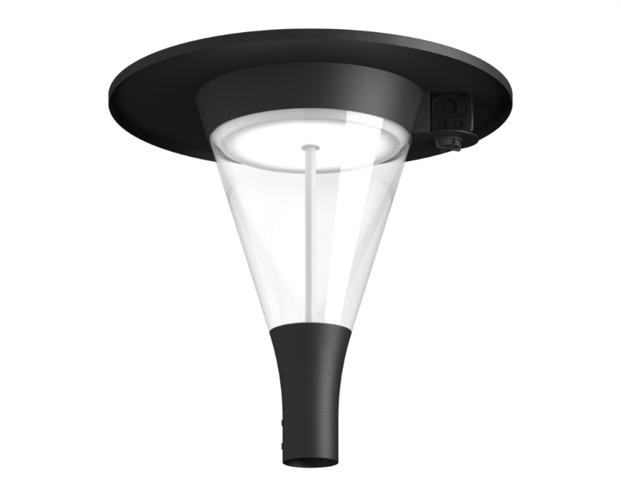 LUSCINIA with Cap