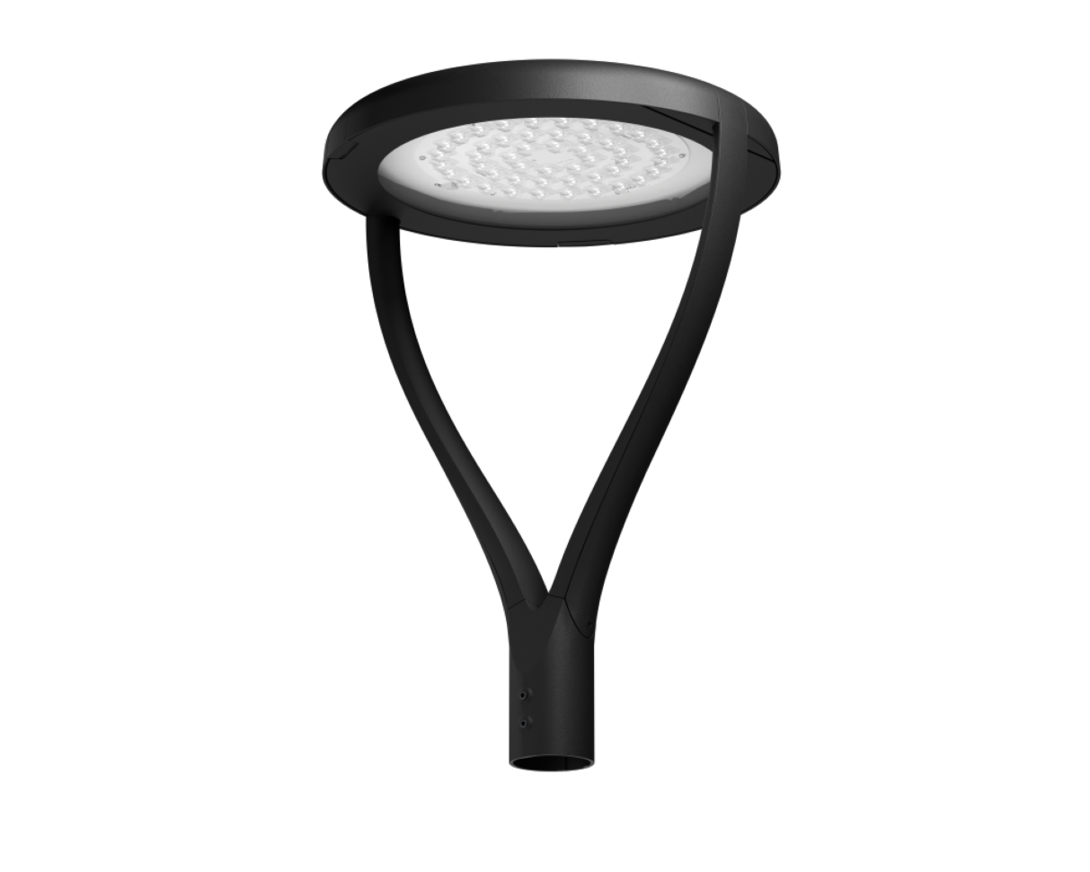 LAPWING Y-type | Tool-less