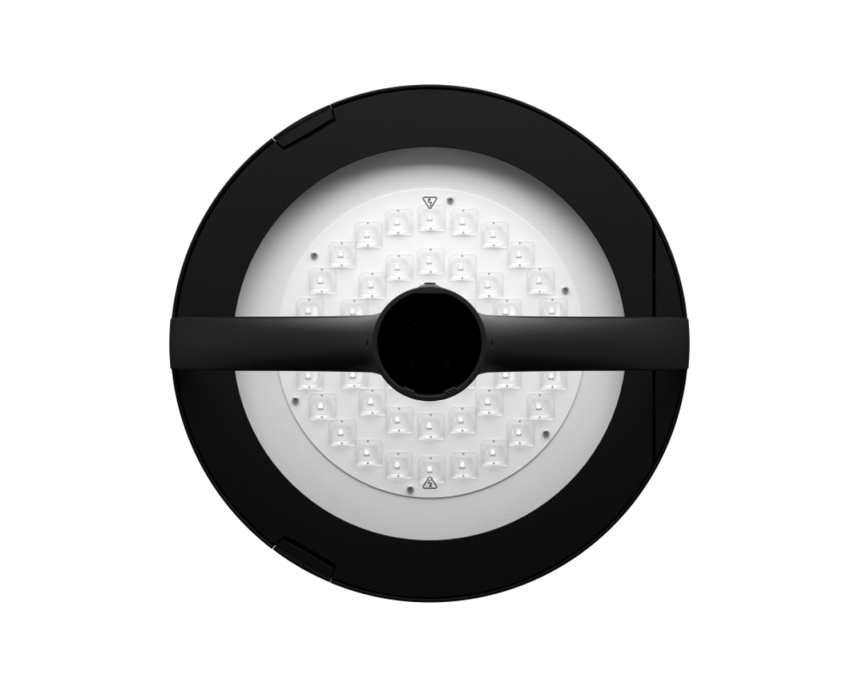 LAPWING Y-type | Tool-less