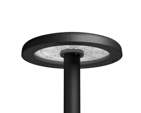 LAPWING Mushroom | Tool-less