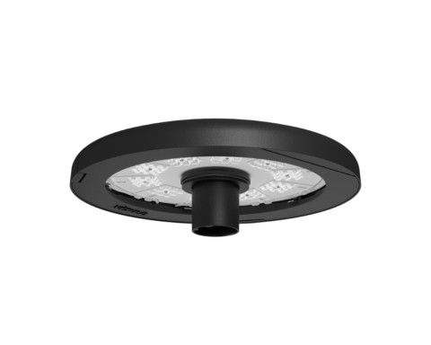 LAPWING Mushroom | Tool-less