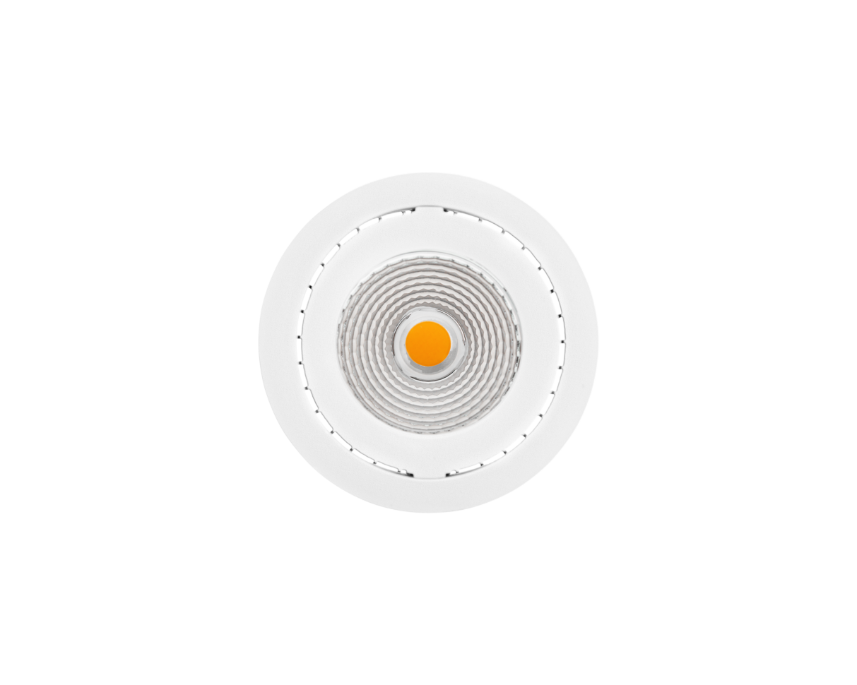 NEST Basic Tiltable