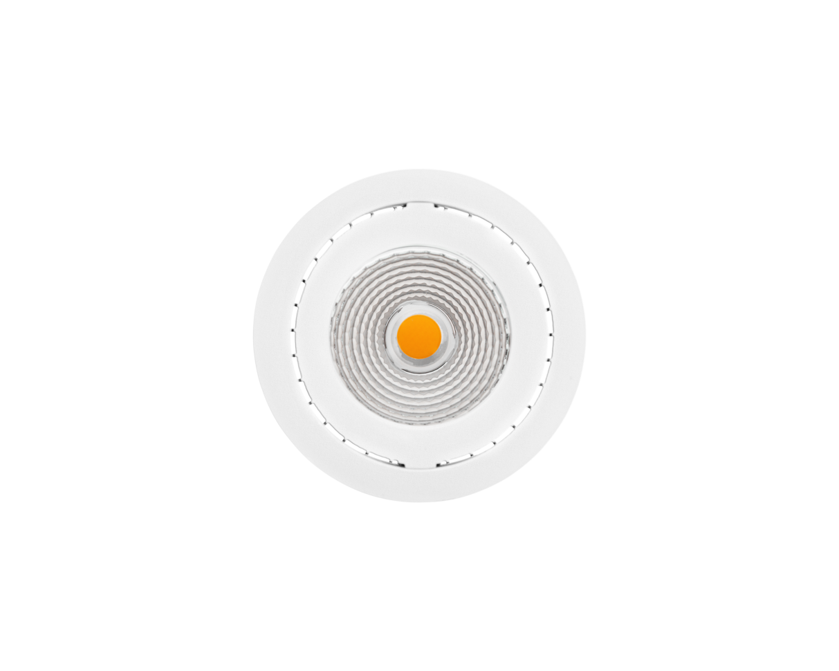 NEST Basic Tiltable