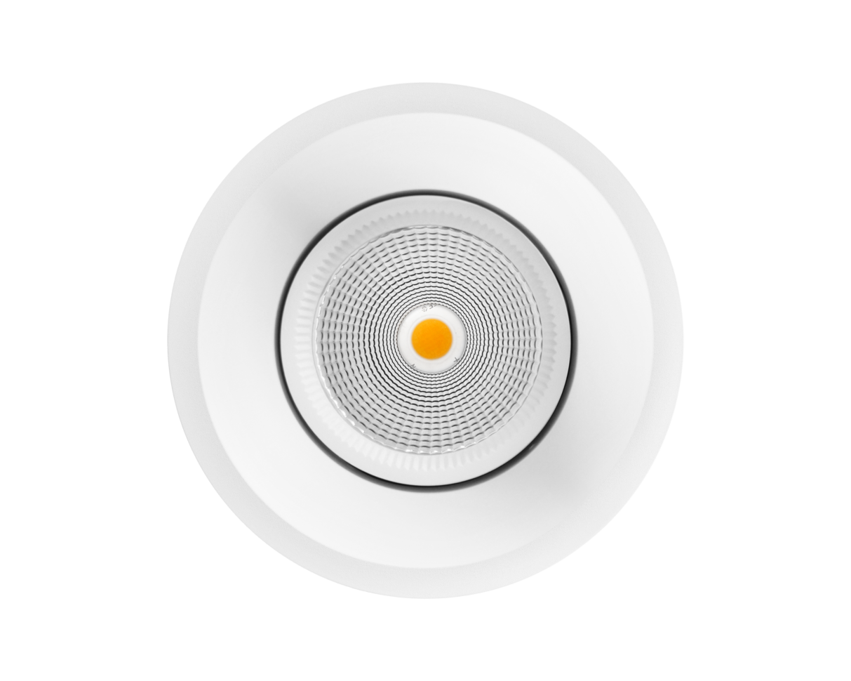 NEST Classic Surface/Pendant