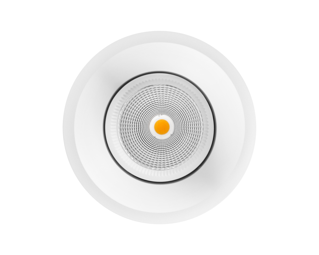 NEST Classic Surface/Pendant