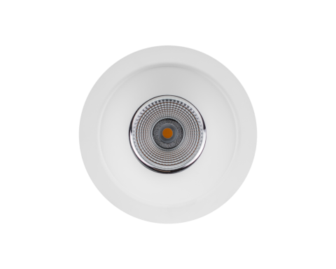 NEST Basic