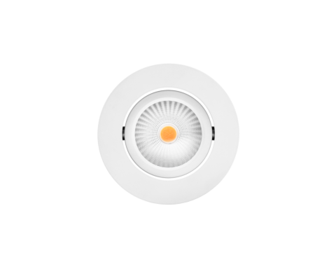 NEST Classic Tiltable