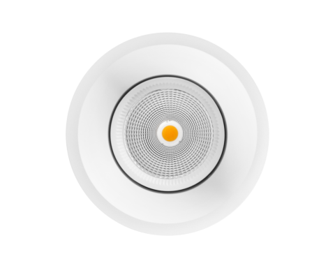NEST Classic Surface/Pendant
