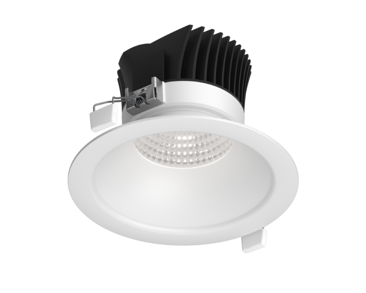 NEST Basic