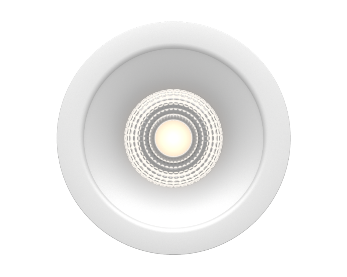 NEST Basic