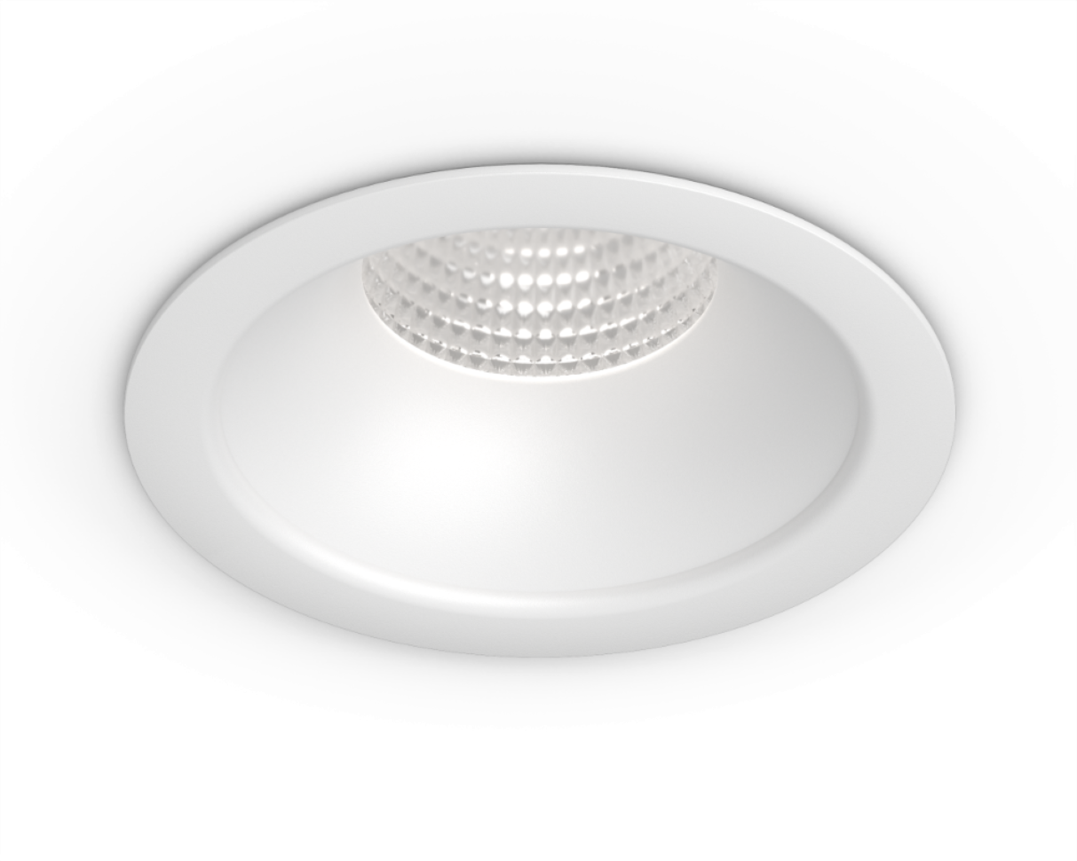 NEST Basic