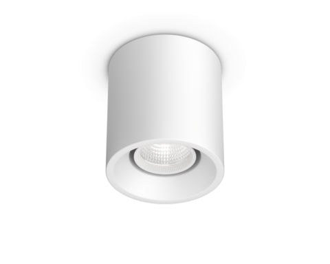 NEST Classic Surface