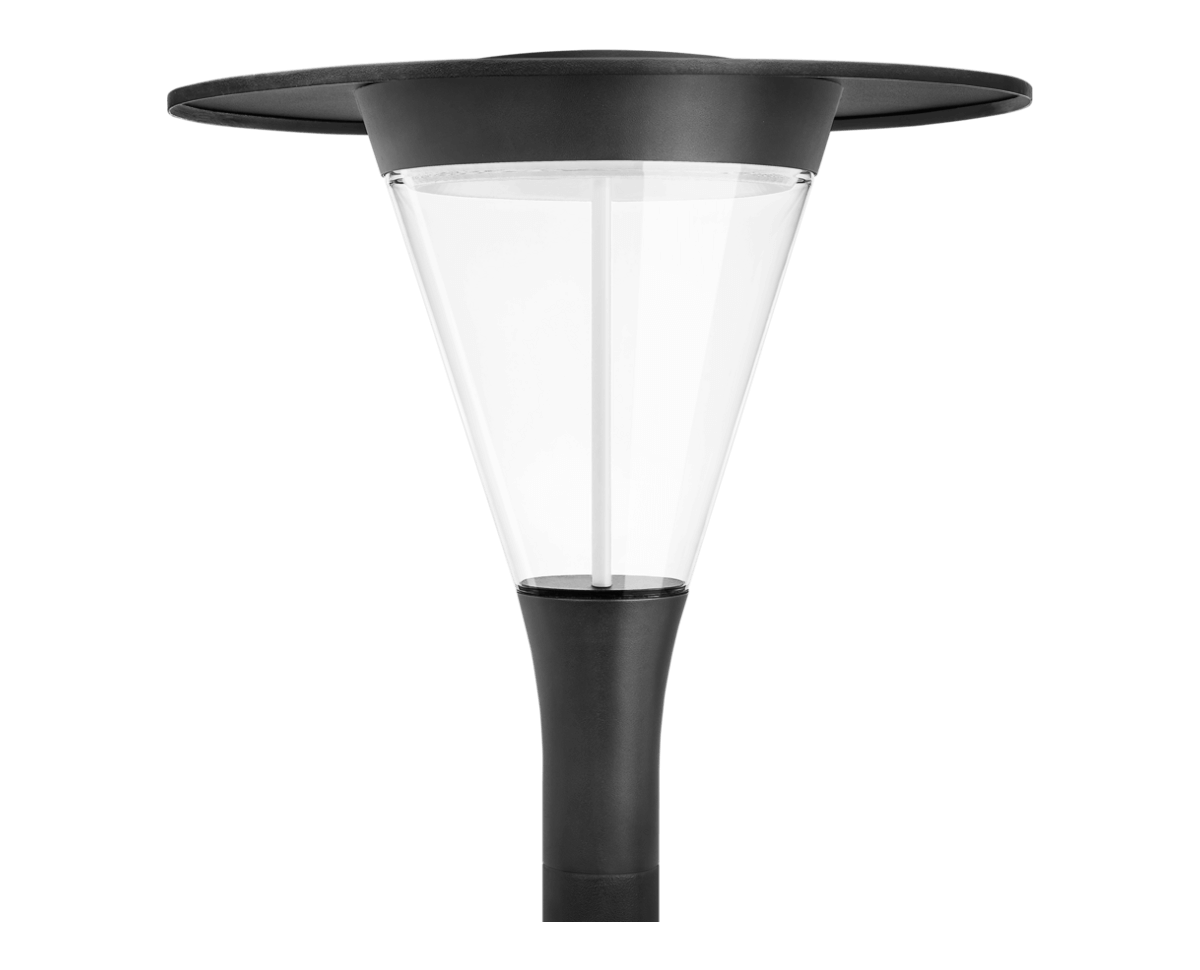 LUSCINIA with cap
