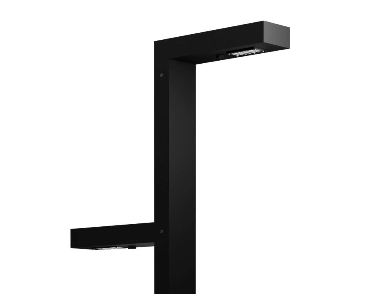 Woodpecker Pole | D head