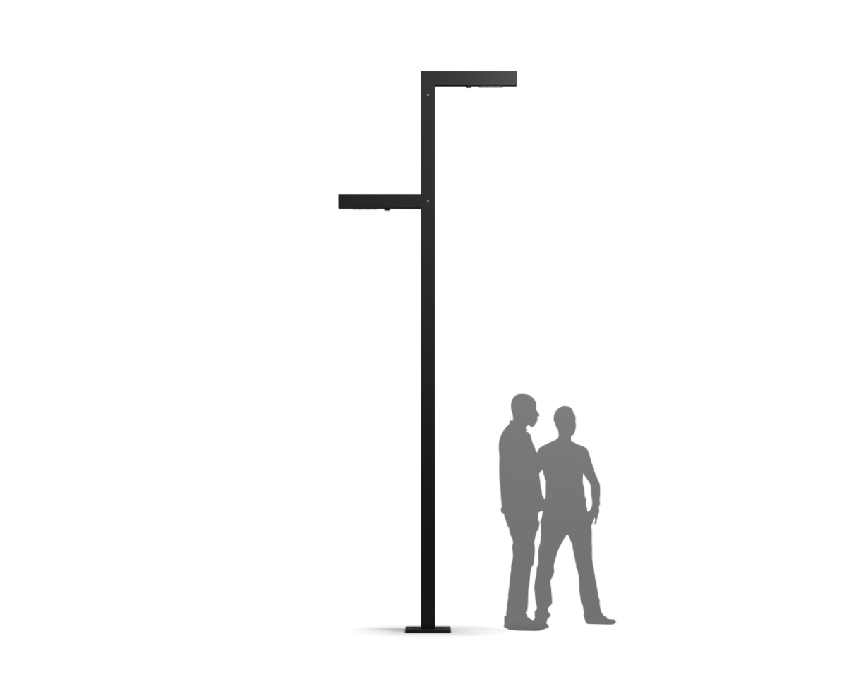 Woodpecker Pole | D head