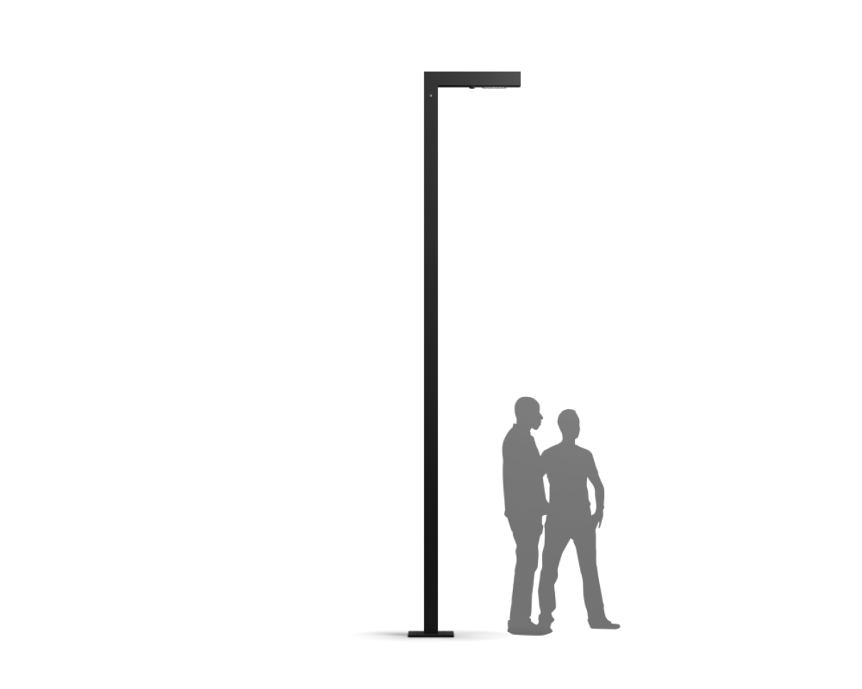 Woodpecker Pole | S head