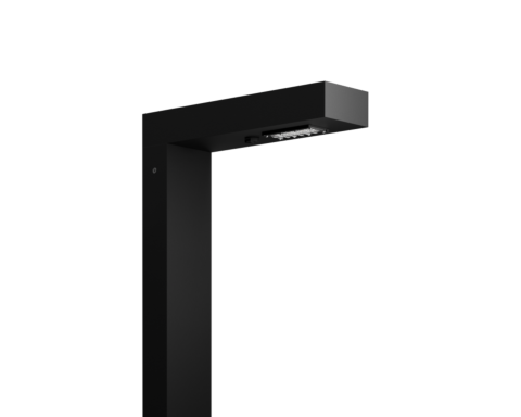 Woodpecker Pole | S head