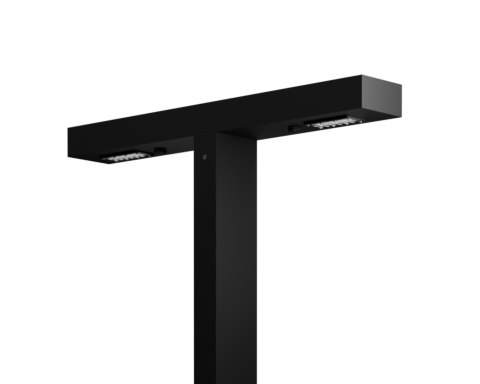 Woodpecker Pole | T head